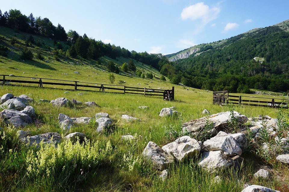 Mountain House Varda Ledenice Exterior photo